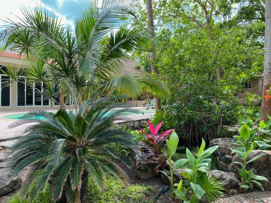 Casa Paamul Villa Playa del Carmen Buitenkant foto